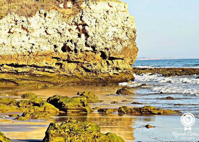 Espacoso Com Excelente Espaco Exterior