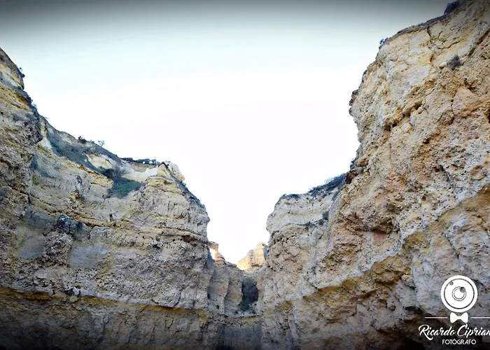 Espacoso Com Excelente Espaco Exterior