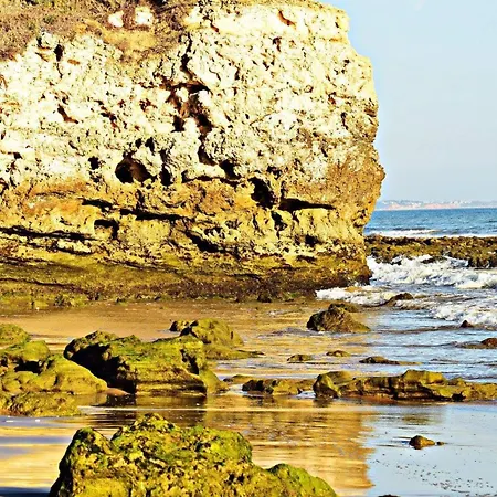 Espaçoso Com Excelente Espaço Exterior