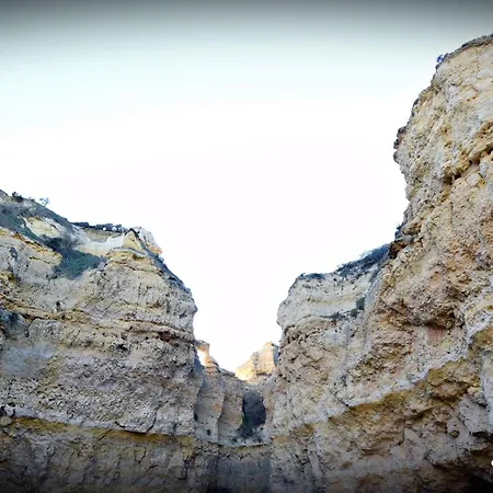 Espaçoso Com Excelente Espaço Exterior